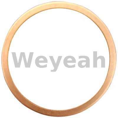 Anel de vedação de peças Jenbacher 100843 para motor a gás Jenbacher J320