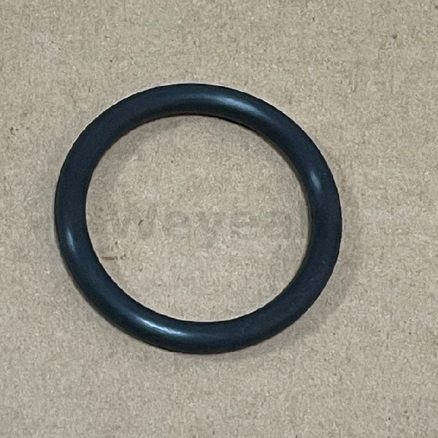 O-ring 300805 para motor a gás Jenbacher