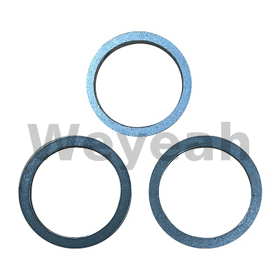 Anel de vedação 438602 para motor a gasolina Jenbacher J420