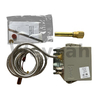 Controle de Temperatura 175321 para Motores Jenbacher Tipo 4
