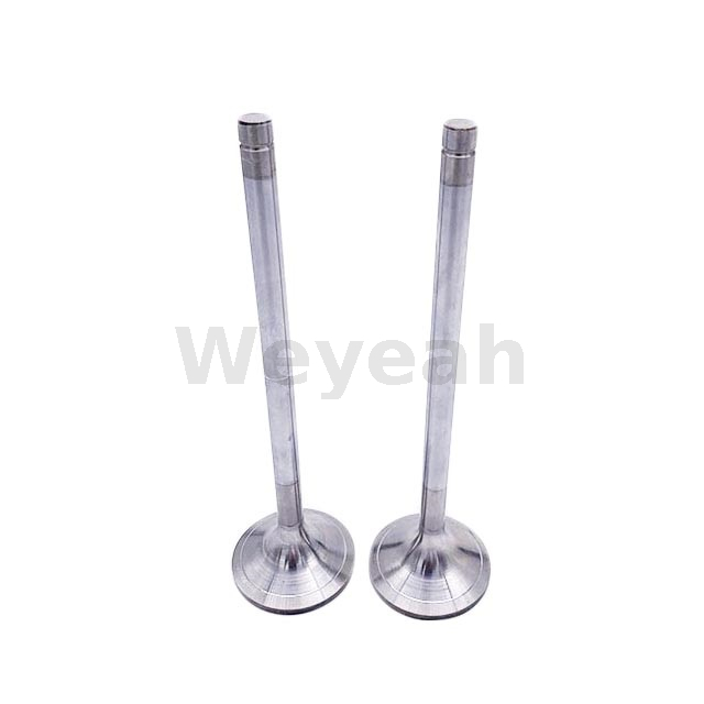 Válvula de admissão MWM 12304754 para motor a gás TBG620 TCG2020