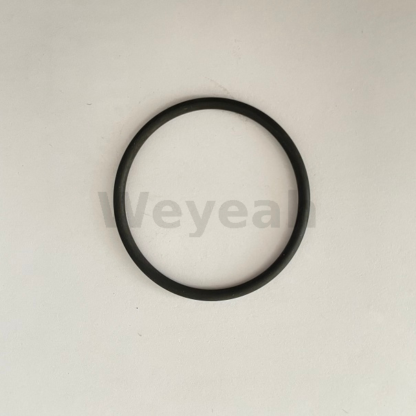O-ring 100019 para motor a gás Jenbacher