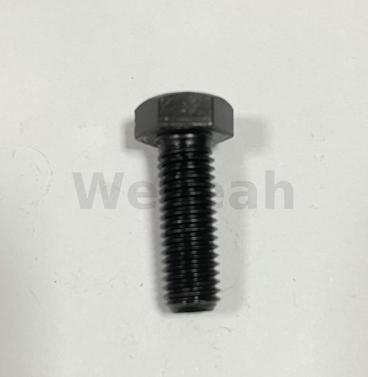 Parafuso de cabeça hexagonal 100473 para motor a gás Jenbacher
