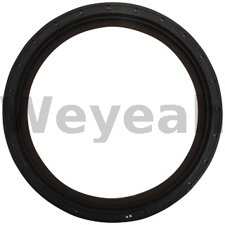 Vedação do eixo 395571 para motor a gasolina Jenbacher J420