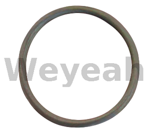 O-ring 174461 para motor a gasolina Jenbacher