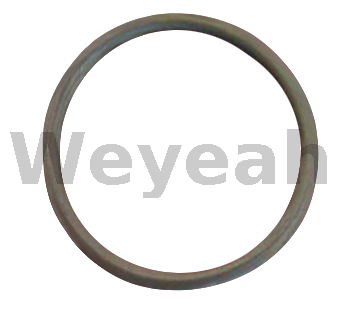 O-ring 174461 para motor a gasolina Jenbacher