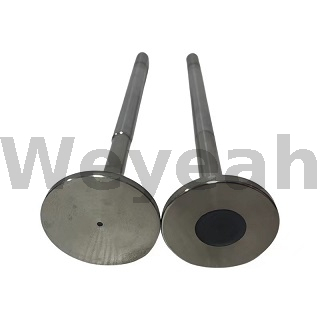 Válvula de escape Jenbacher 369443 para motor a gás Jenbacher J420