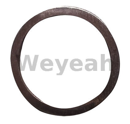 Anel de vedação 100834 para motor a gás Jenbacher