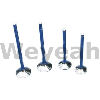 Válvula de escape 369443 para motor a gás Jenbacher J420