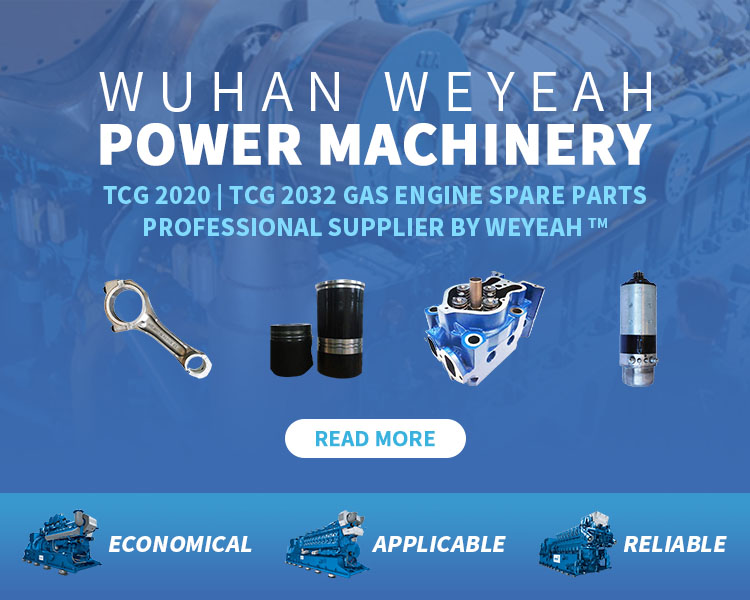 mwm gas engine parts