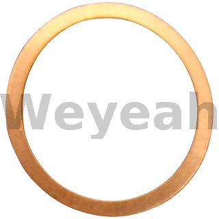 Anel de vedação 100822 para motor a gás Jenbacher