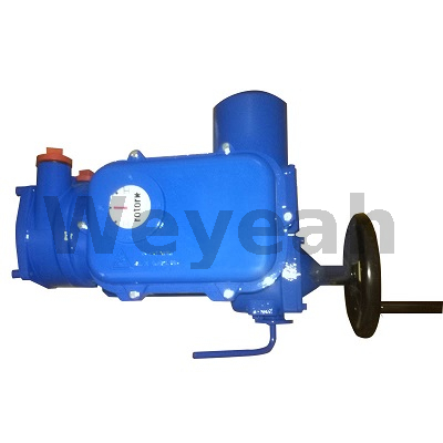 Flexão de acoplamento 228744 para motores a gás Jenbacher