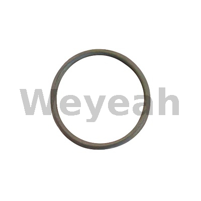 O-ring 174461 para motor a gasolina Jenbacher