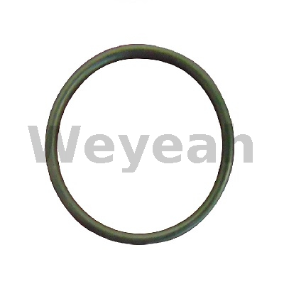 Jenbacher O-ring 105812 para motor a gás Jenbacher