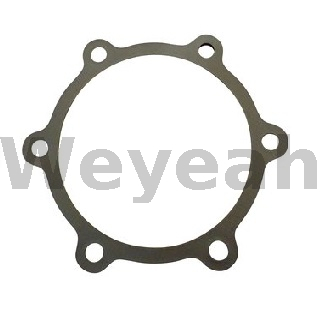 Jenbacher 379932 Vedação para motor a gasolina Jenbacher J420